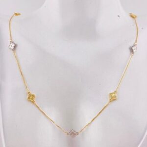 cropped cropped img 20251031 wa0017.jpg